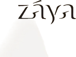 Zaya Developer