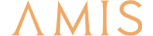 AMIS Development